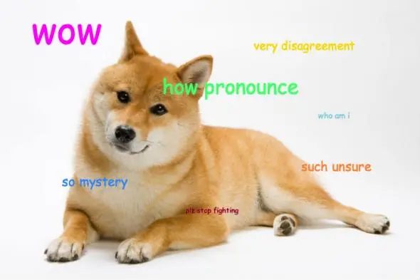 pronounce_doge4.jpg.CROP.promovar-mediumlarge