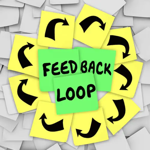 Feedback Loops